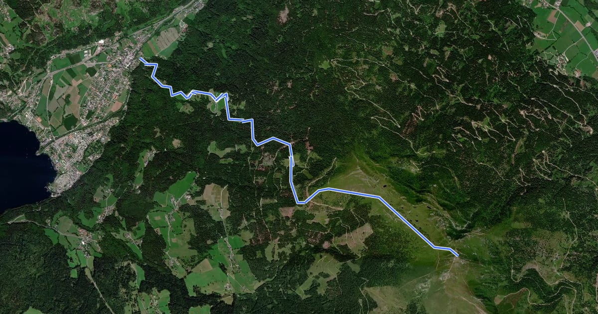 Маршрут Wanderweg 187 (Döbriach - Mirnock) на спутниковом снимке