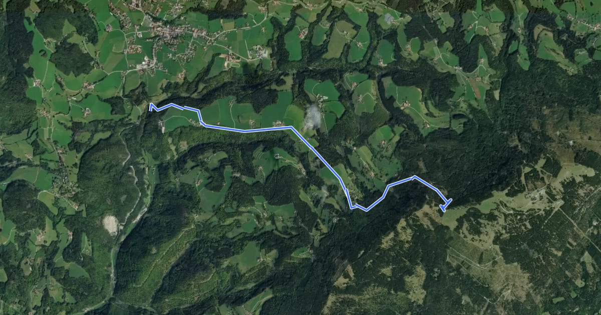 Маршрут Wanderweg 19 на спутниковом снимке