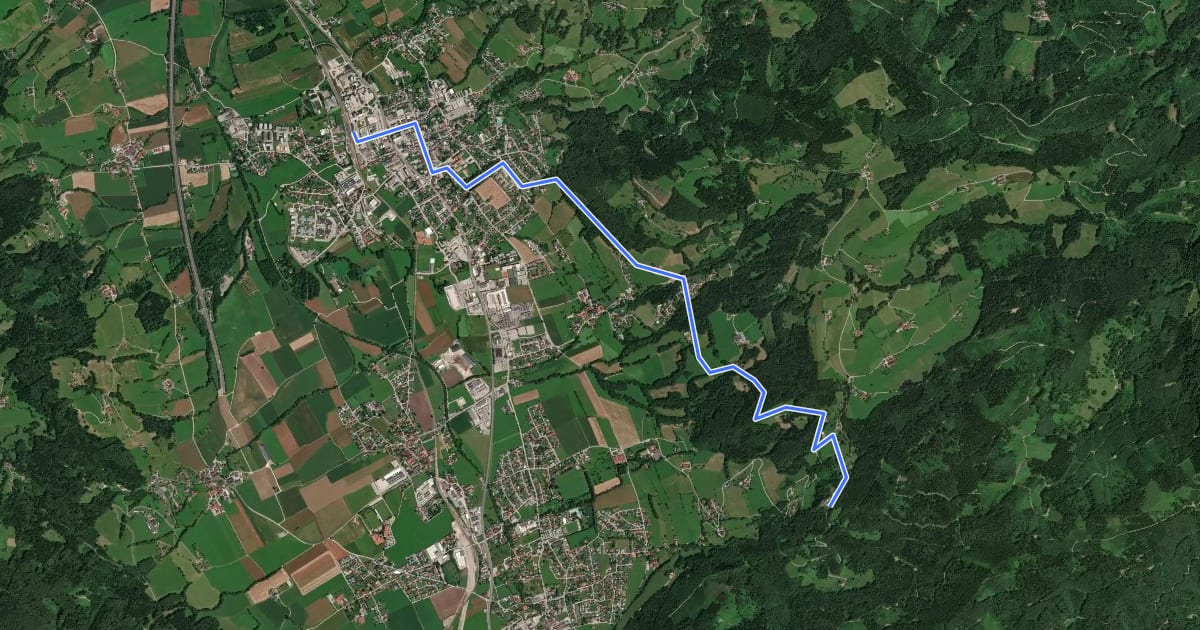 Маршрут Wanderweg 19 на спутниковом снимке