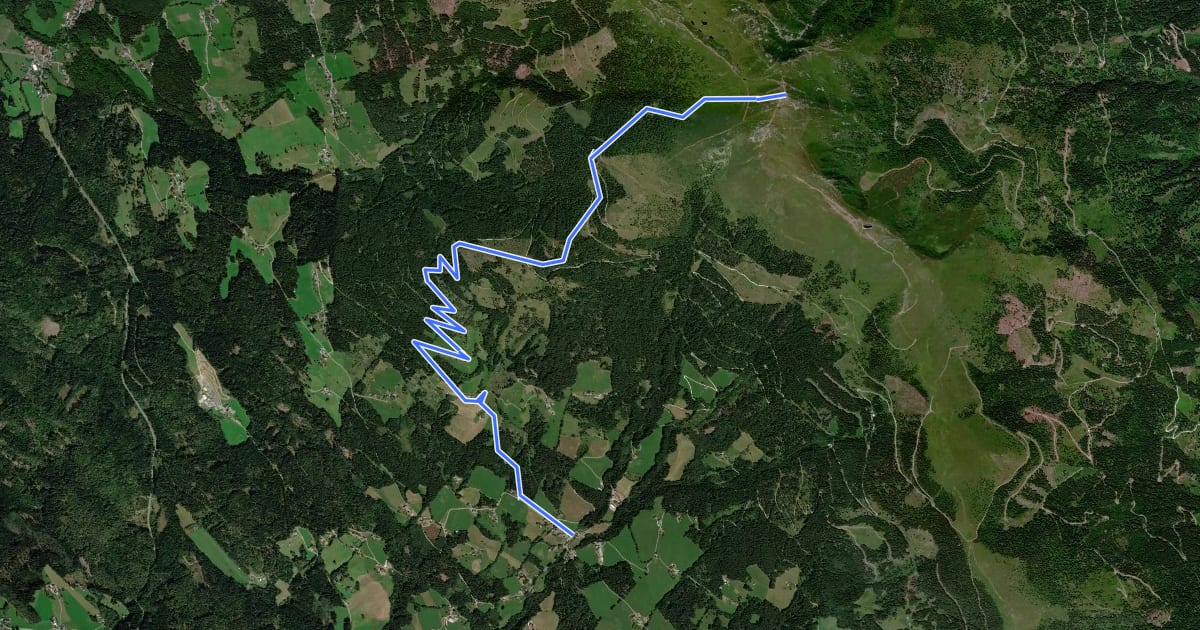 Маршрут Wanderweg 190 на спутниковом снимке