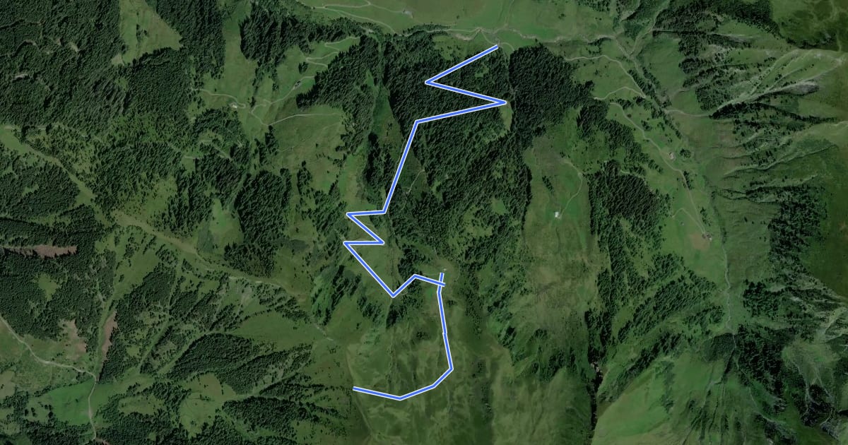 Маршрут Wanderweg 1D на спутниковом снимке