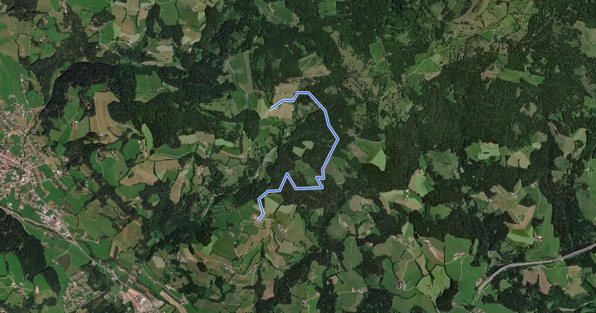 Маршрут Wanderweg 2 на спутниковом снимке