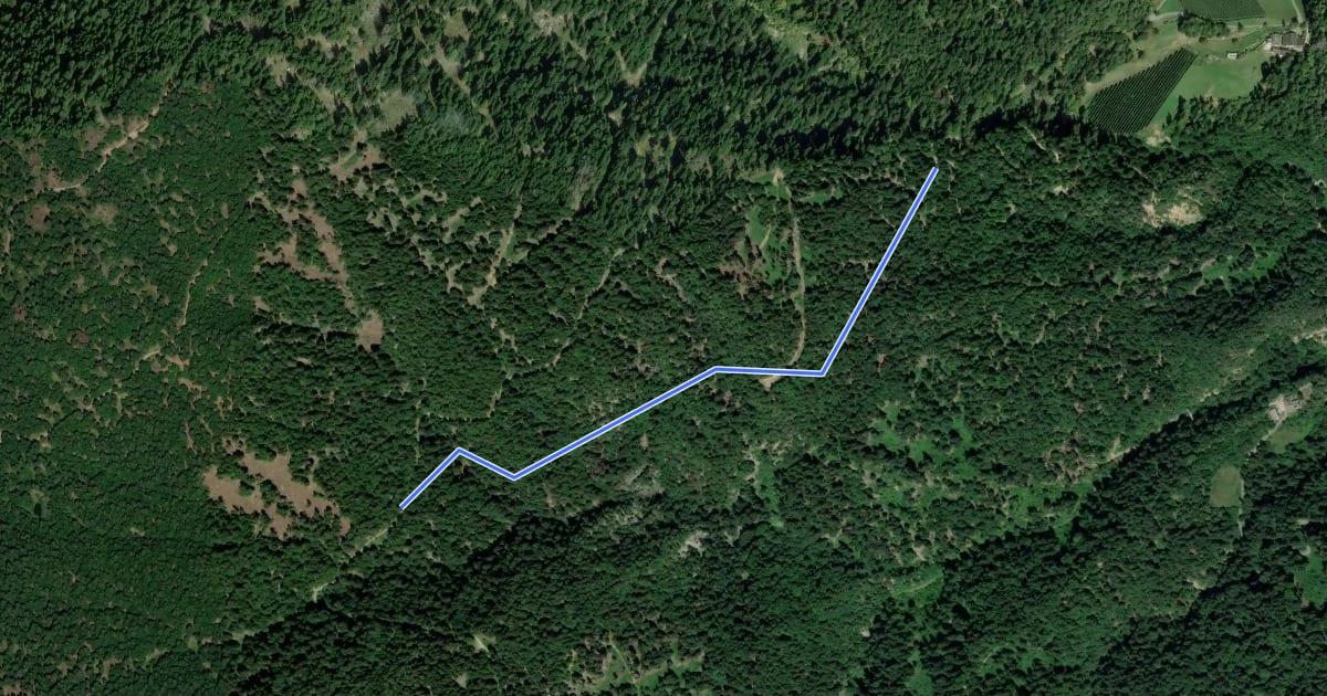 Маршрут Wanderweg 2 на спутниковом снимке
