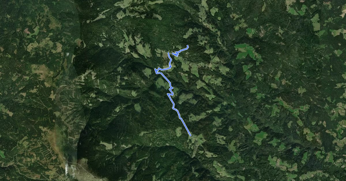 Маршрут Wanderweg 2 на спутниковом снимке