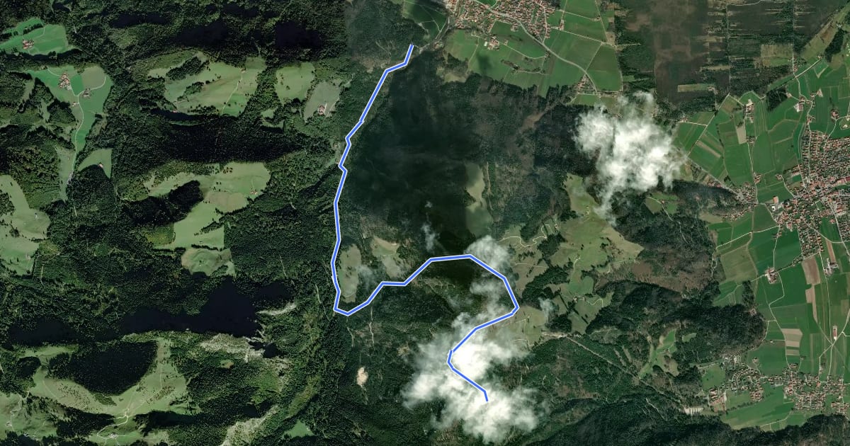 Маршрут Wanderweg 2 - Rottau на спутниковом снимке