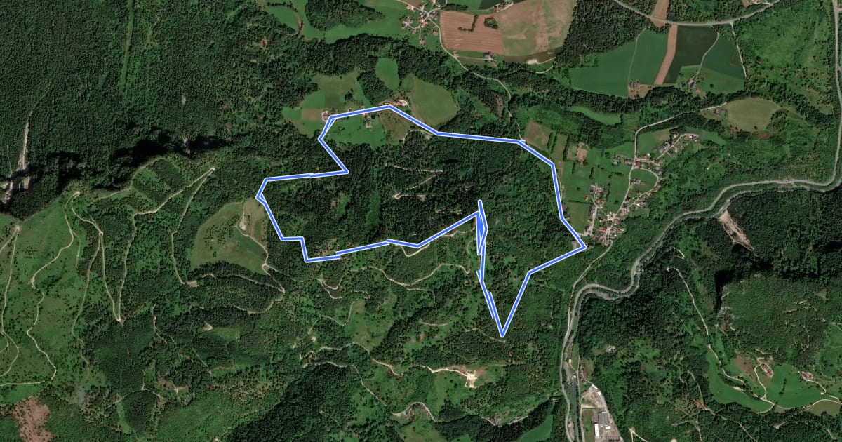 Маршрут Wanderweg 20 на спутниковом снимке