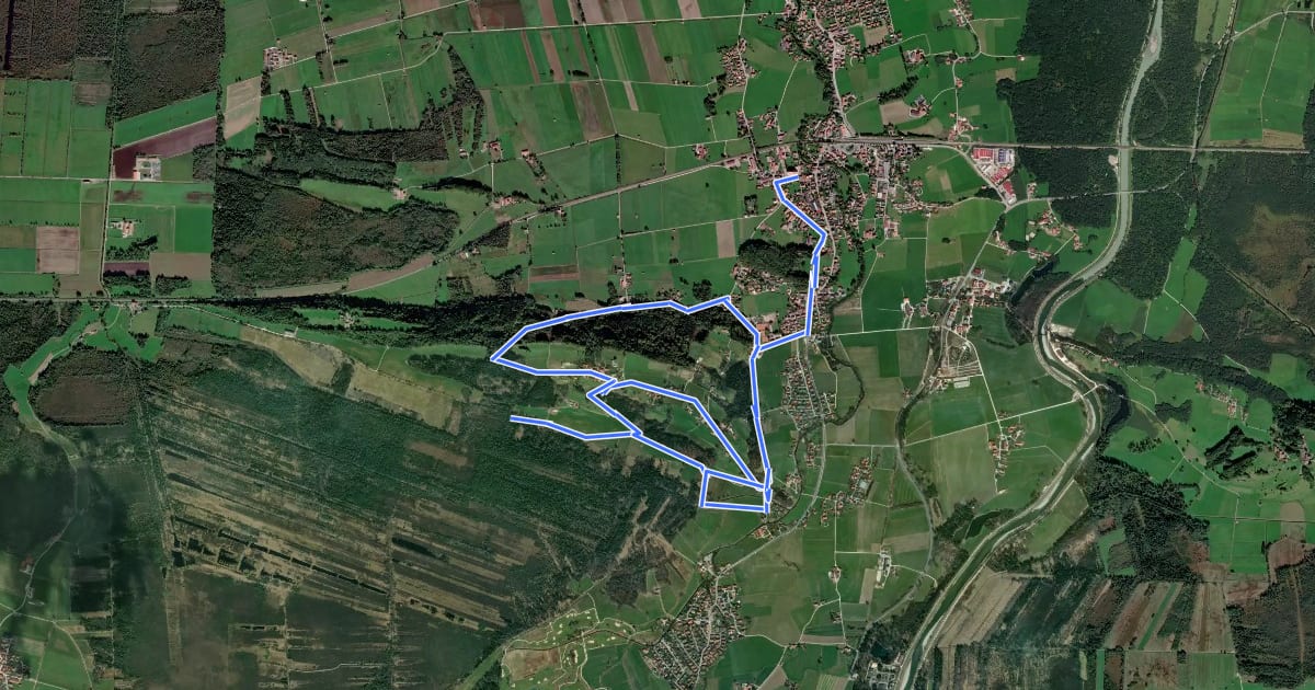 Маршрут Wanderweg 20 - Westerbuchberg Rundweg на спутниковом снимке