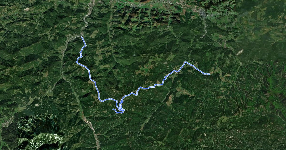Маршрут Wanderweg 204A Voralpenweg Variante на спутниковом снимке