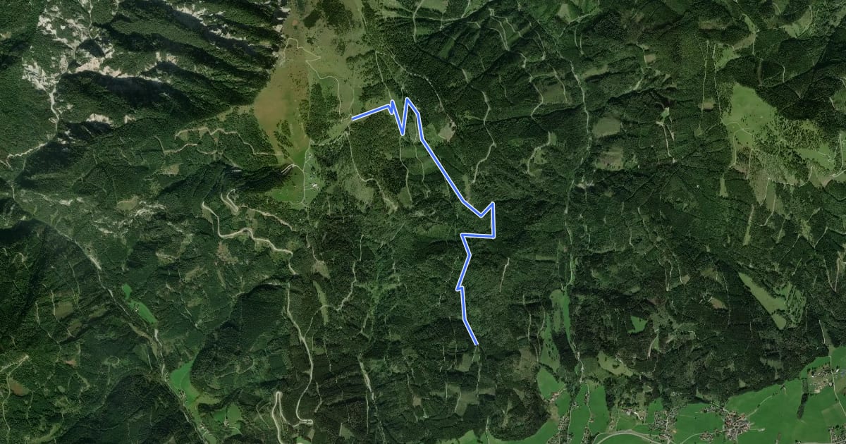 Маршрут Wanderweg 21 на спутниковом снимке