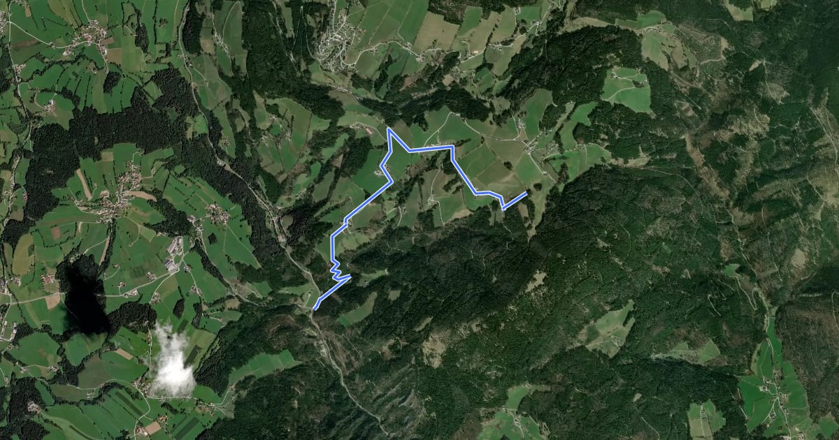 Маршрут Wanderweg 21 на спутниковом снимке