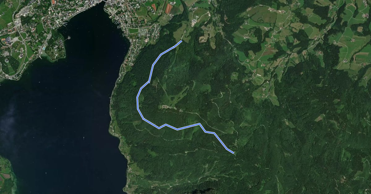 Маршрут Wanderweg 21 Mitterweg на спутниковом снимке
