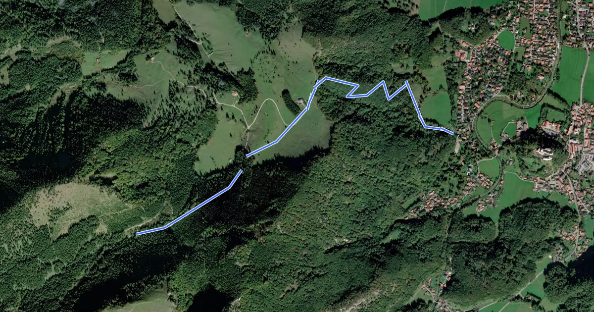 Маршрут Wanderweg 217 - Chiemgauer Alpen на спутниковом снимке