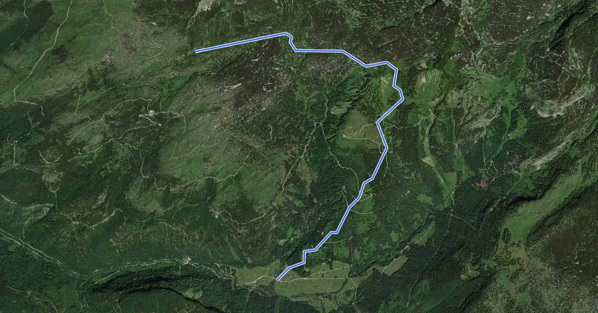 Маршрут Wanderweg 222 на спутниковом снимке