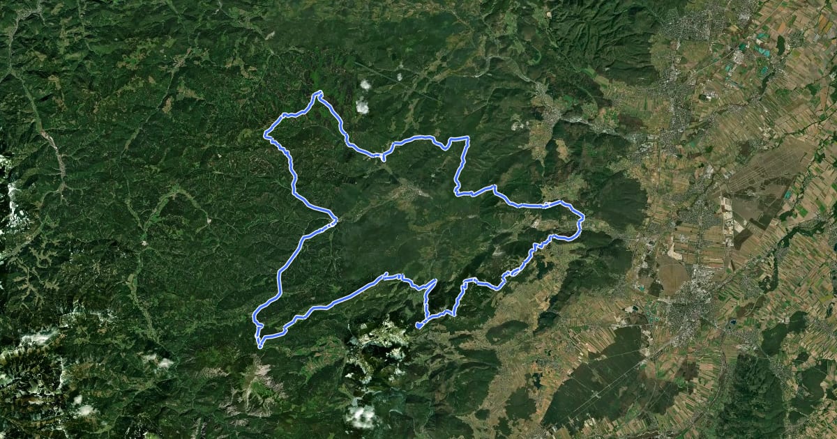 Маршрут Wanderweg 231 Piestingtaler Rundwanderweg на спутниковом снимке