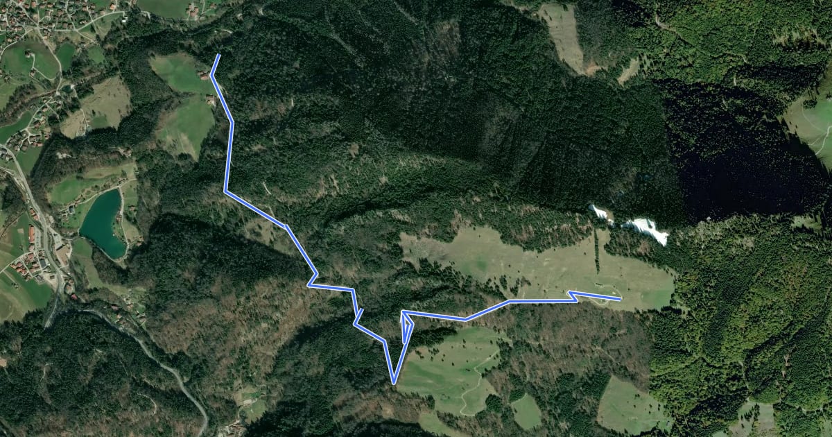 Маршрут Wanderweg 236 - Rechenbergalm на спутниковом снимке