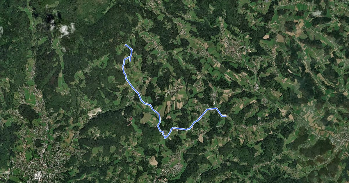 Маршрут Wanderweg 24 на спутниковом снимке