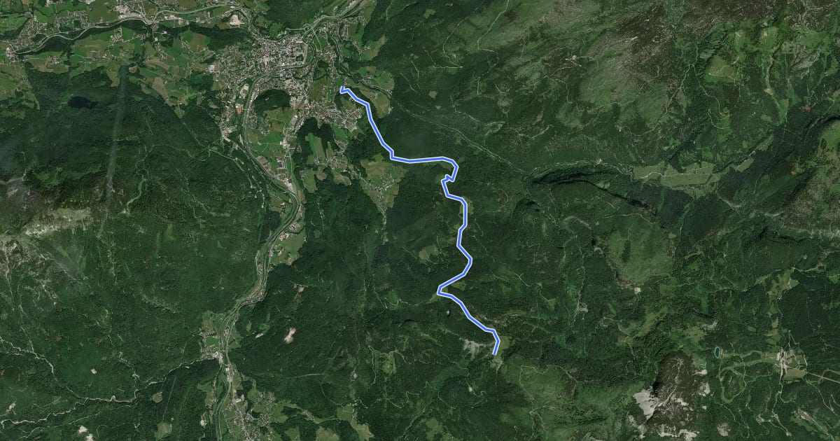 Маршрут Wanderweg 242 на спутниковом снимке