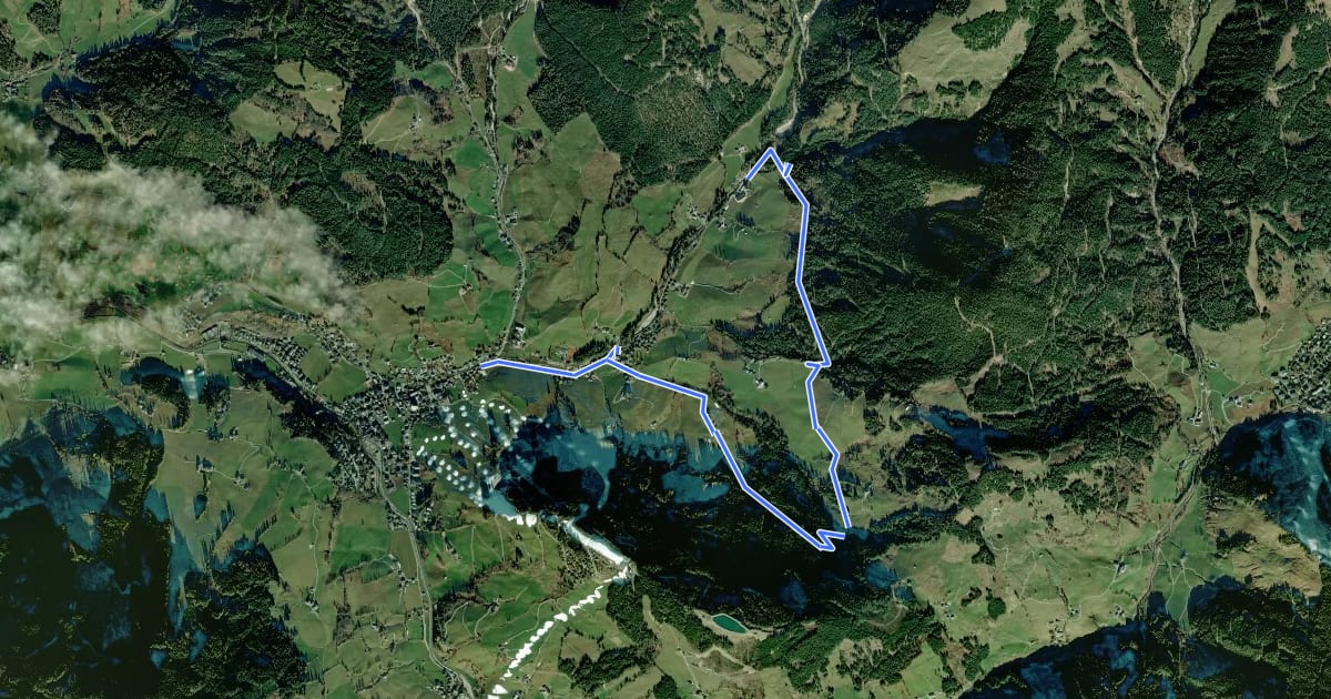 Маршрут Wanderweg 25 на спутниковом снимке
