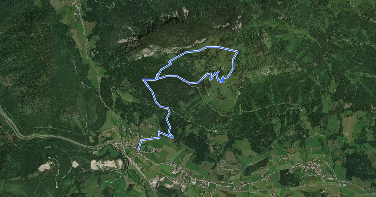 Маршрут Wanderweg 25 на спутниковом снимке