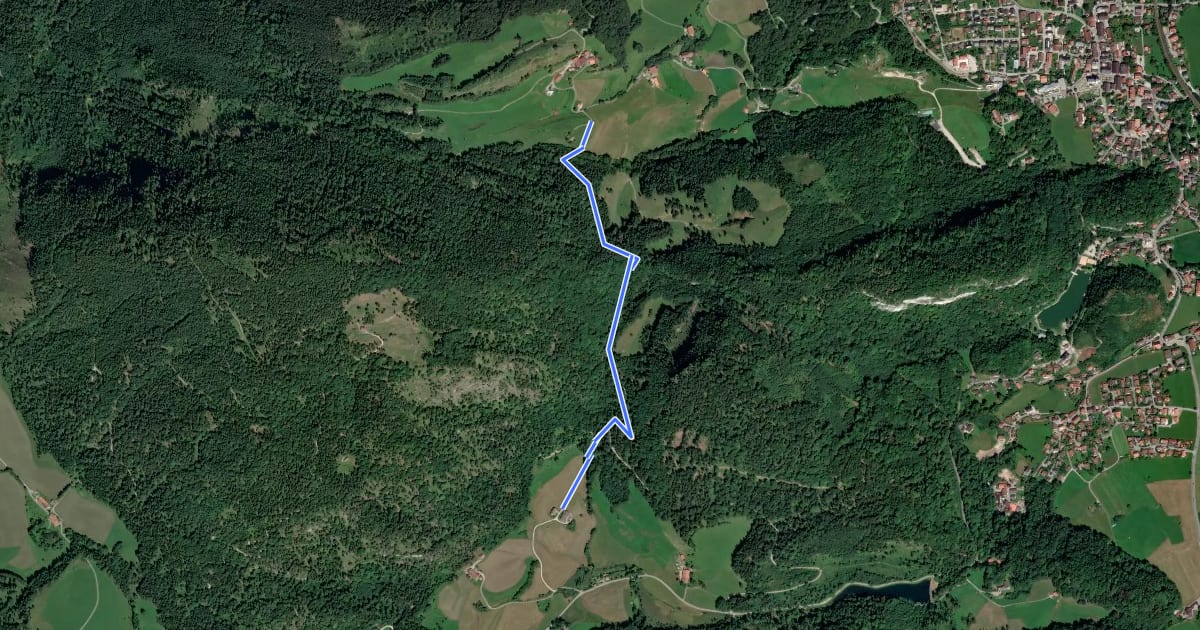 Маршрут Wanderweg 25 - Kiefersfelden на спутниковом снимке