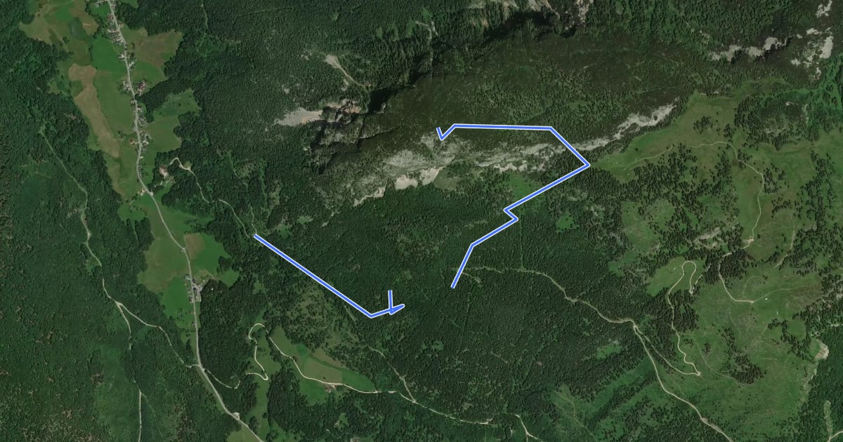 Маршрут Wanderweg 253 на спутниковом снимке