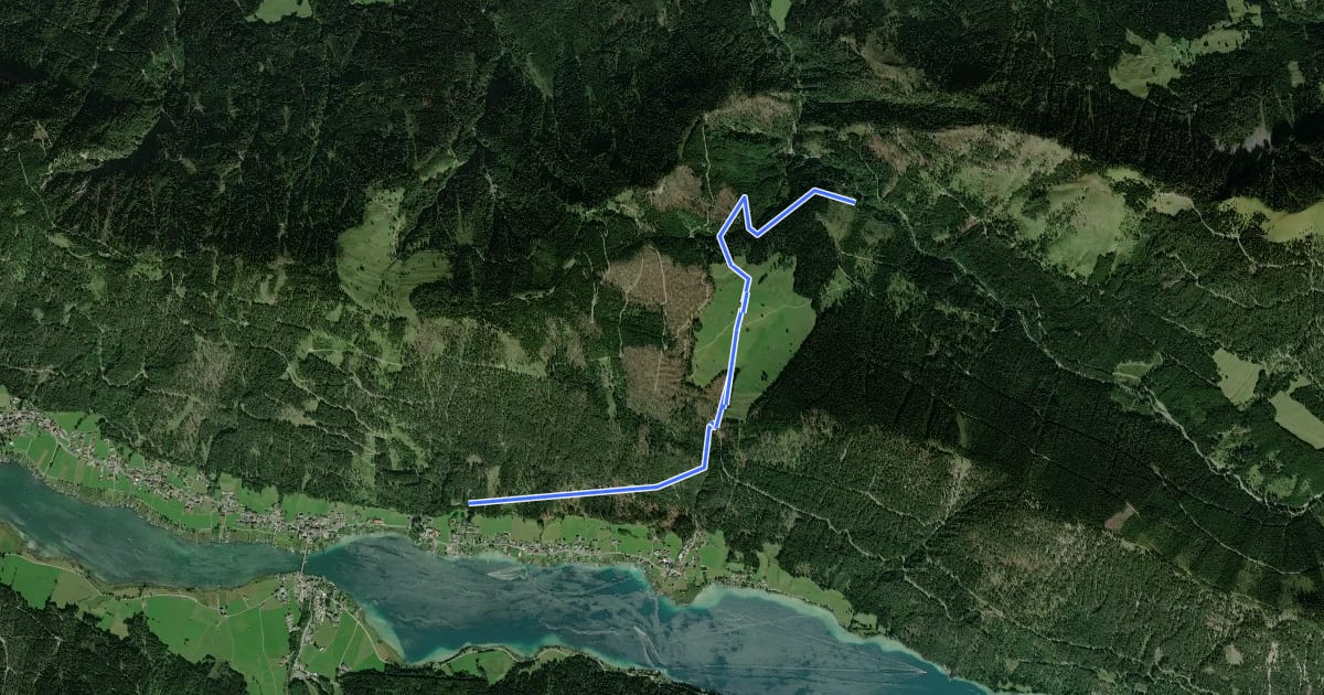Маршрут Wanderweg 259 на спутниковом снимке