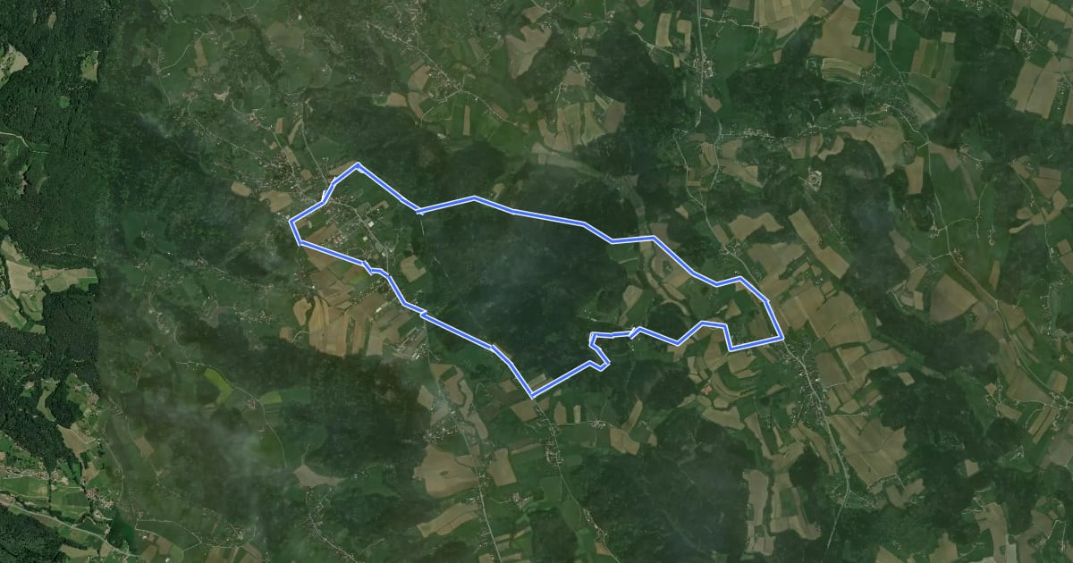 Маршрут Wanderweg 26 на спутниковом снимке