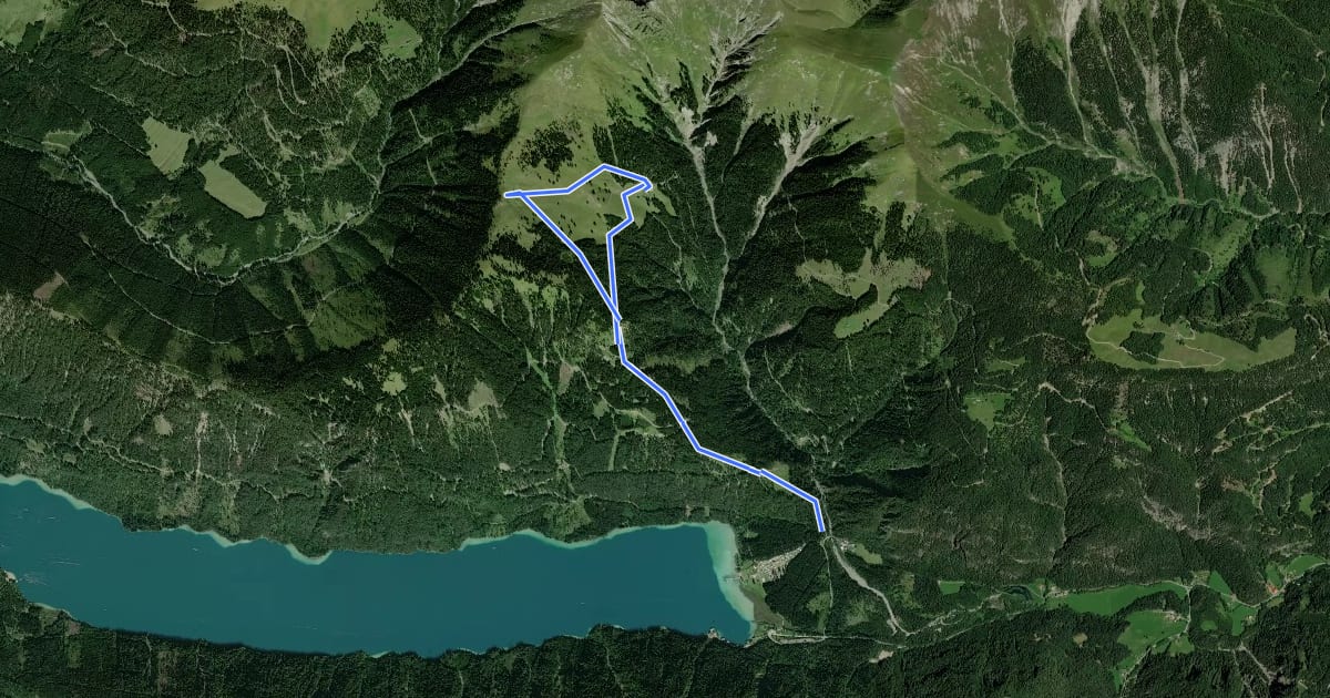 Маршрут Wanderweg 265 на спутниковом снимке
