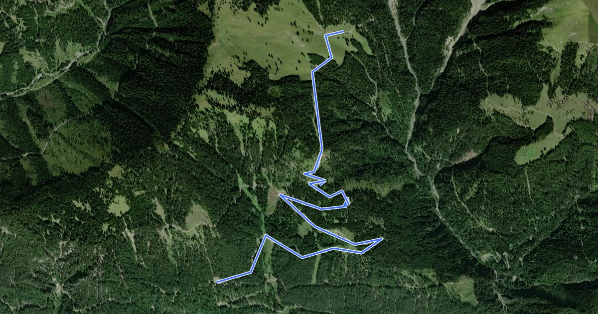 Маршрут Wanderweg 266 на спутниковом снимке
