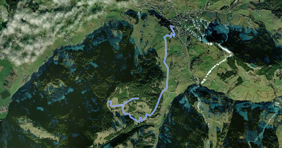 Маршрут Wanderweg 27 на спутниковом снимке