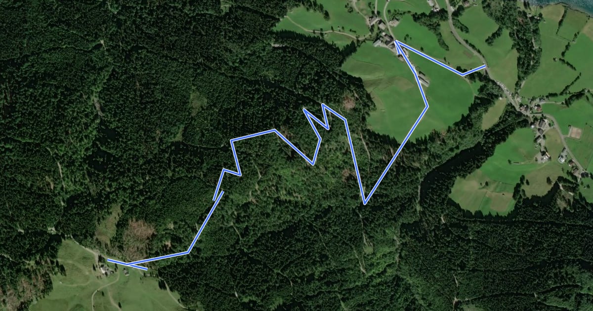 Маршрут Wanderweg 28 на спутниковом снимке