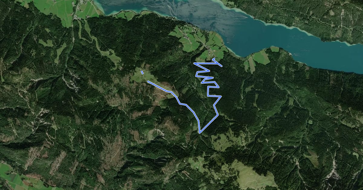 Маршрут Wanderweg 29 на спутниковом снимке