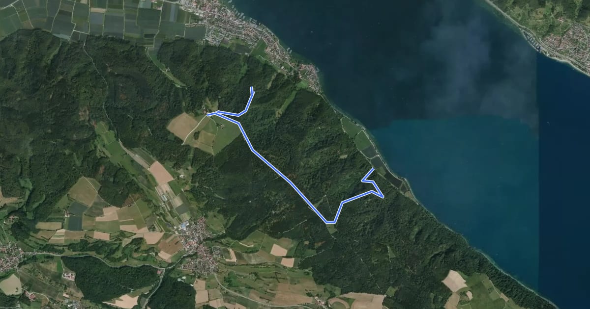 Маршрут Wanderweg 29 Bodman - Liggeringen на спутниковом снимке