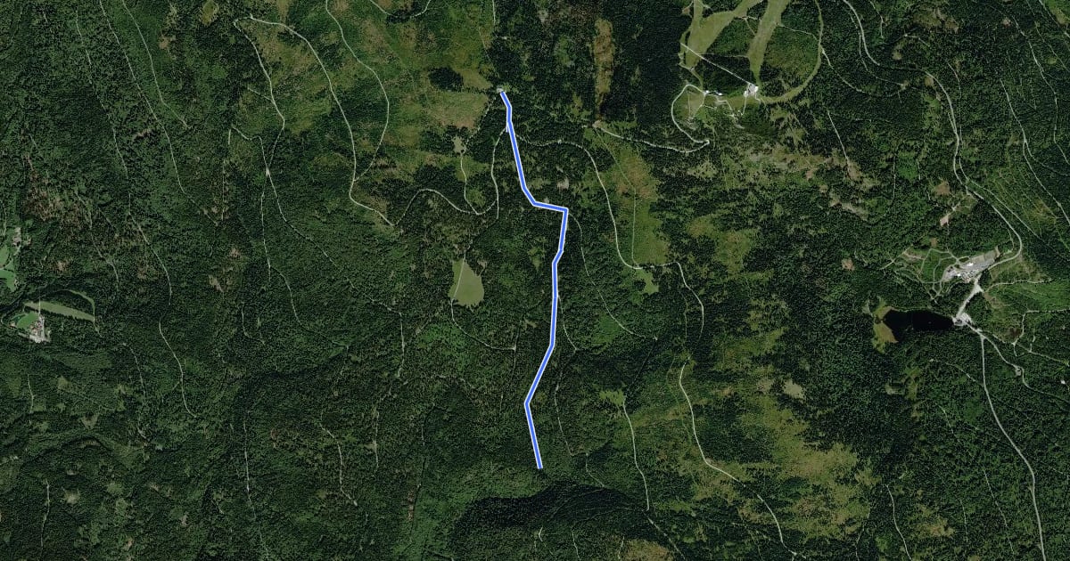 Маршрут Wanderweg 2a (Grün) на спутниковом снимке