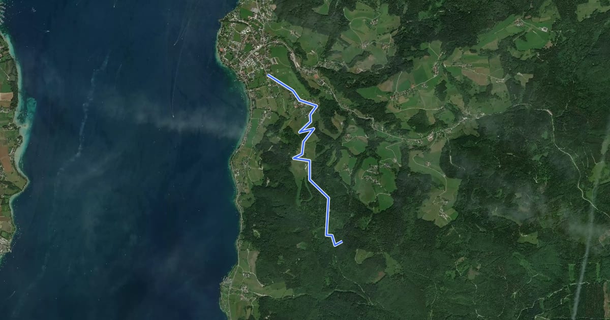 Маршрут Wanderweg 3 на спутниковом снимке