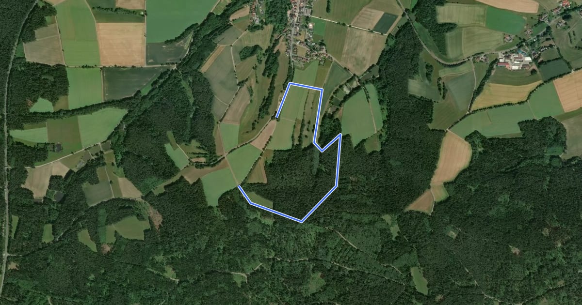 Маршрут Wanderweg 3 на спутниковом снимке