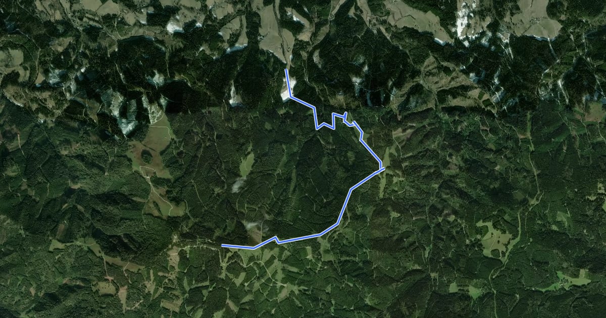 Маршрут Wanderweg 3 на спутниковом снимке