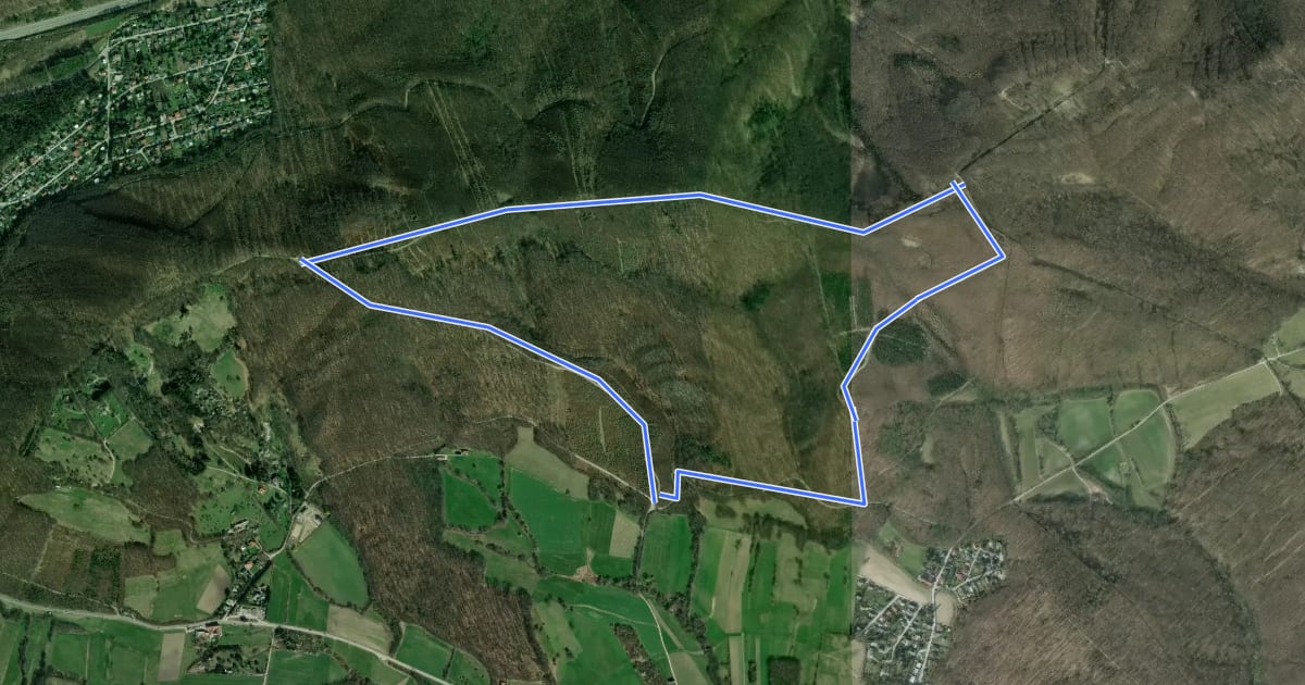 Маршрут Wanderweg 3 (Laab im Walde) на спутниковом снимке