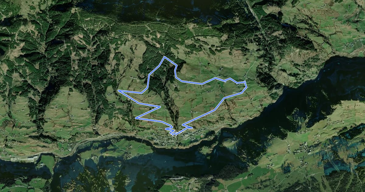 Маршрут Wanderweg 3 (Untere Gschwandtnerberg Runde) на спутниковом снимке