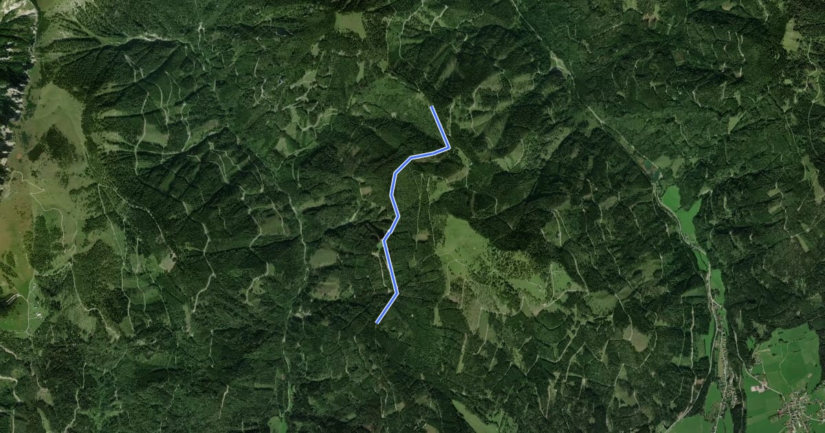 Маршрут Wanderweg 31 на спутниковом снимке