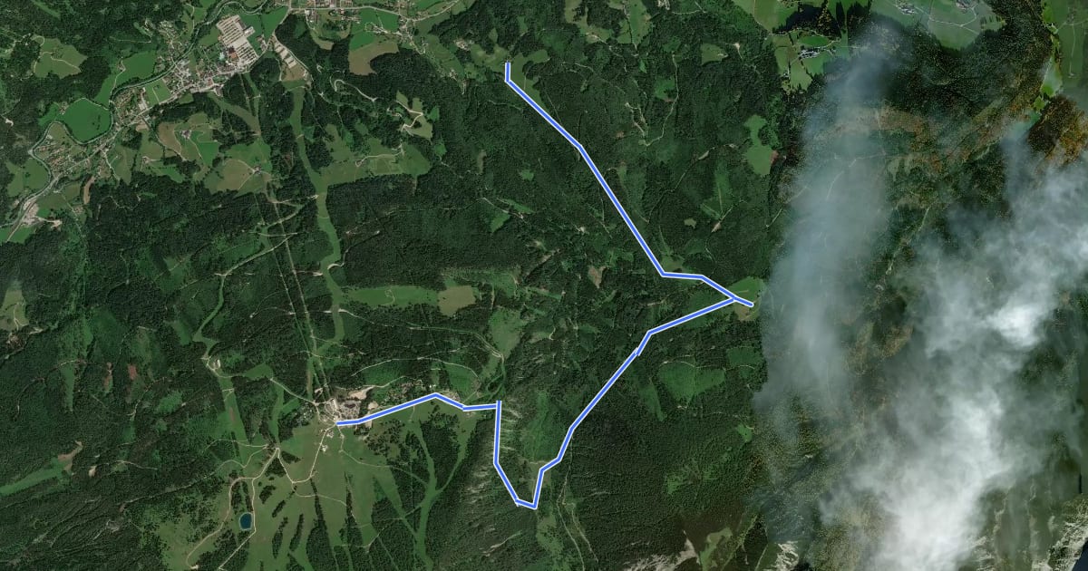 Маршрут Wanderweg 31 на спутниковом снимке