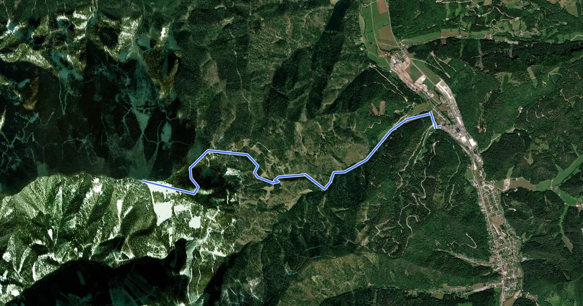 Маршрут Wanderweg 31 на спутниковом снимке