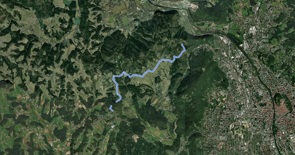 Маршрут Wanderweg 31 на спутниковом снимке