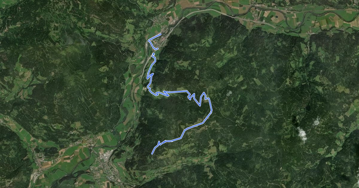 Маршрут Wanderweg 311A на спутниковом снимке