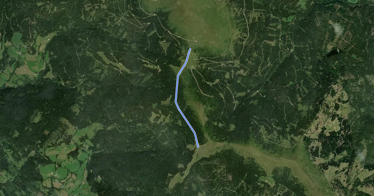 Маршрут Wanderweg 312 на спутниковом снимке