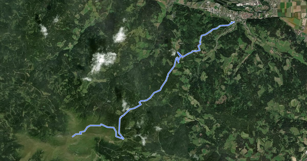Маршрут Wanderweg 313 на спутниковом снимке