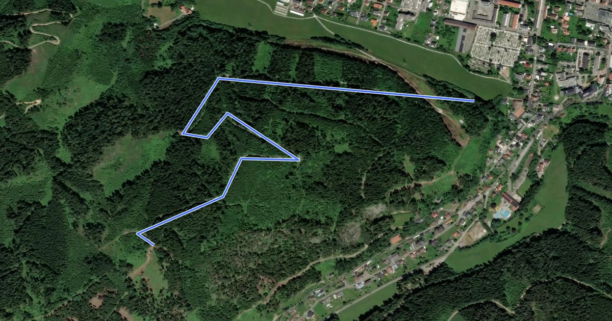 Маршрут Wanderweg 313A на спутниковом снимке