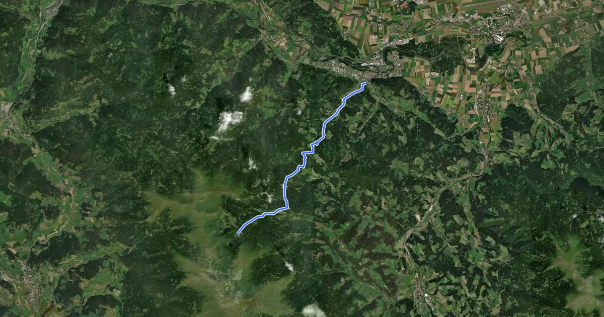 Маршрут Wanderweg 315 на спутниковом снимке