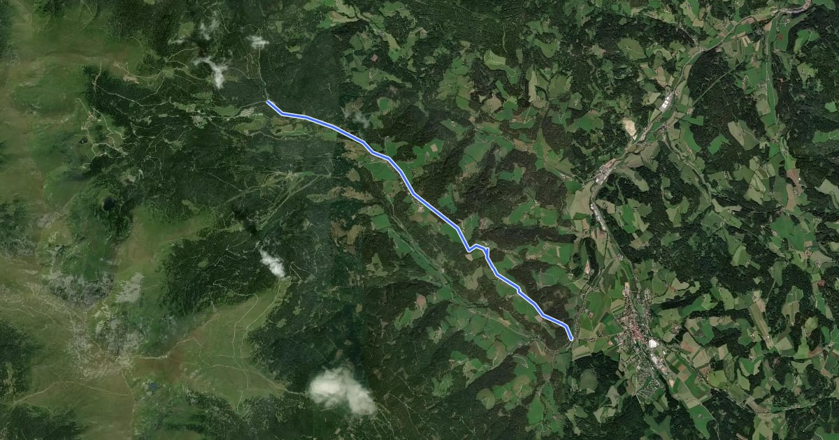 Маршрут Wanderweg 319 на спутниковом снимке