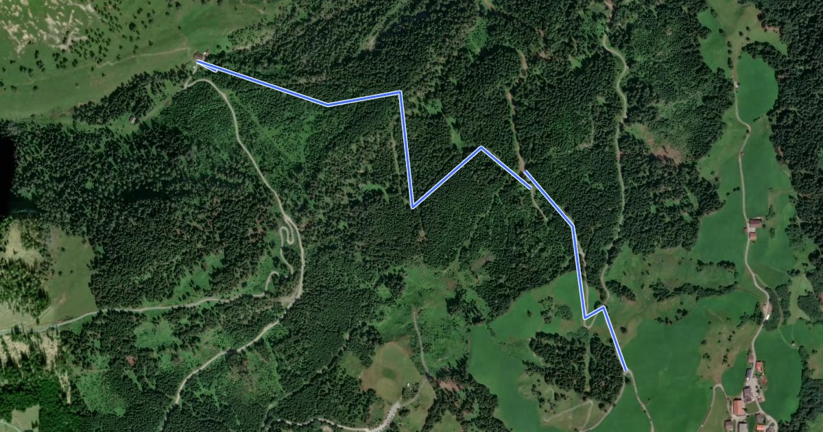 Маршрут Wanderweg 31a на спутниковом снимке